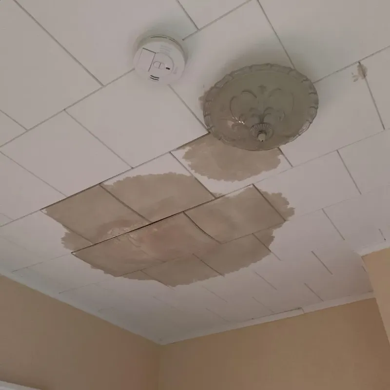 Ceiling Water Damage Repair in South Greeley, WY