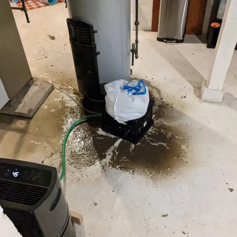 Sewage Backup Cleanup Service in South Greeley, WY